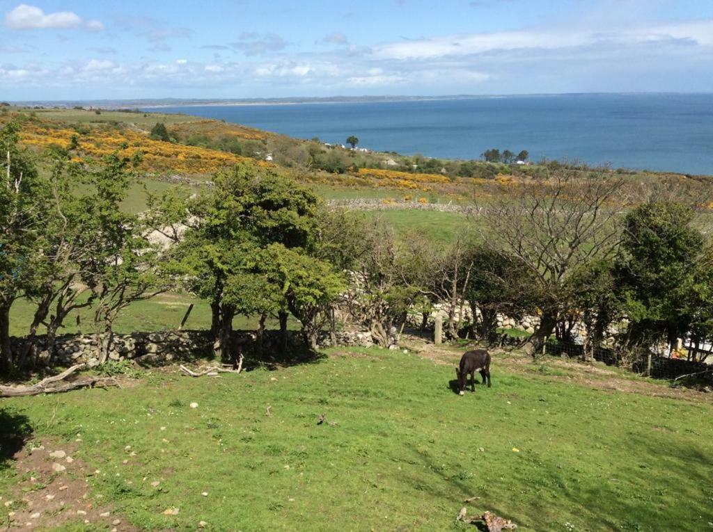 Stunning Views At Ballagh Cottage Newcastle Newcastle  Esterno foto